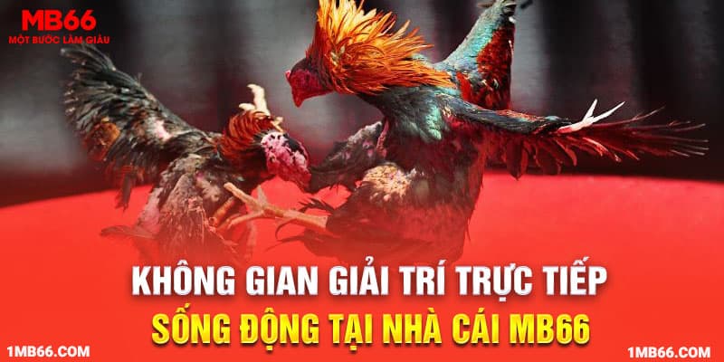 Không gian giải trí trực tiếp sống động tại nhà cái MB66