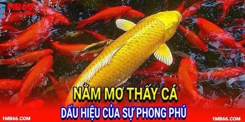 Dấu hiệu của sự phong phú khi nằm mơ thấy cá