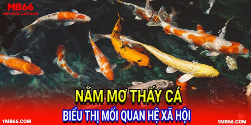 Nằm mơ thấy cá biểu thị mối quan hệ xã hội