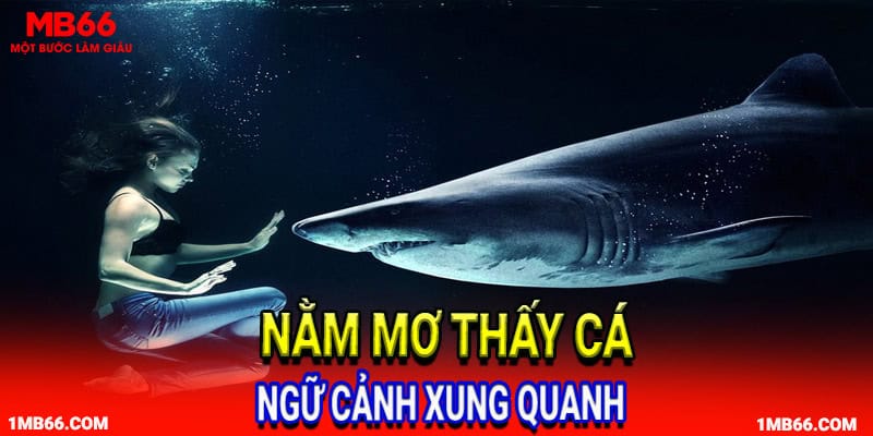 Ngữ cảnh xung quanh khi ngủ mơ thấy cá