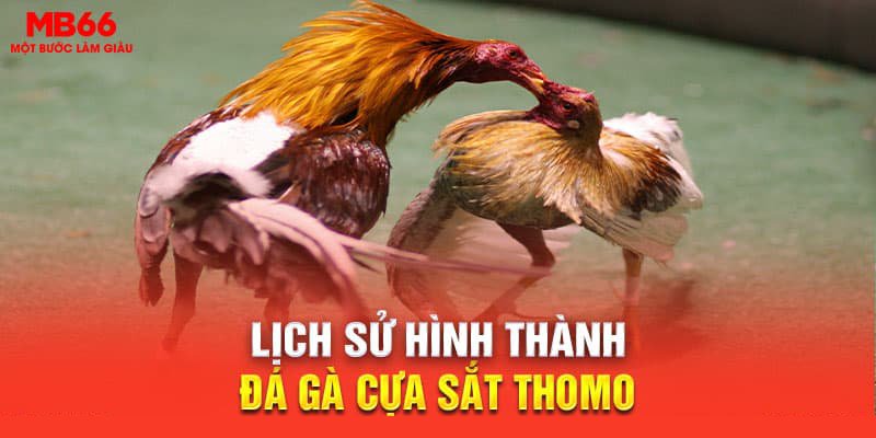 Lịch sử hình thành