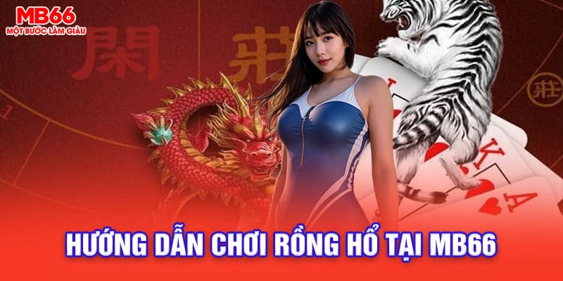 Hướng dẫn chi tiết cách chơi rồng hổ online