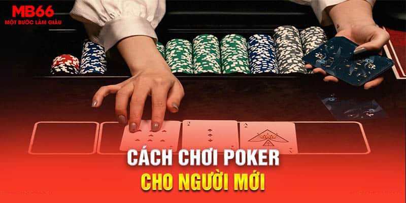 Cách chơi Poker cho người mới