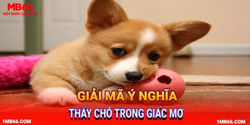 Giải mã ý nghĩa của việc thấy chó trong giấc mơ